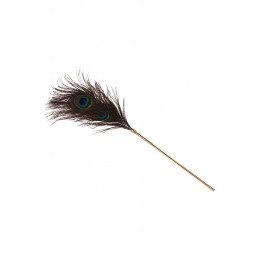 Taboom 20729 Plumeau à caresses Peacock Tickler - Taboom