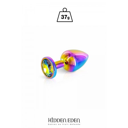 Hidden Eden Plug bijou aluminium Rainbow XS - Hidden Eden