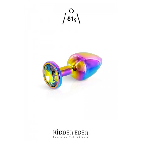 Hidden Eden Plug bijou aluminium Rainbow S - Hidden Eden