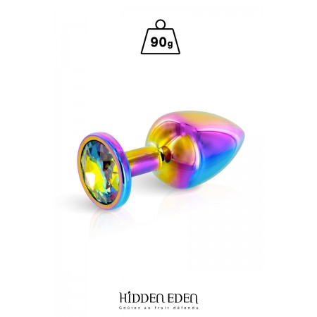 Hidden Eden Plug bijou aluminium Rainbow M - Hidden Eden