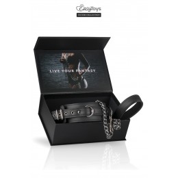 Easytoys Fetish Collection 18731 Collier fétichiste et laisse - Easytoys Fetish Collection